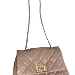 ALDO crossbody Purse