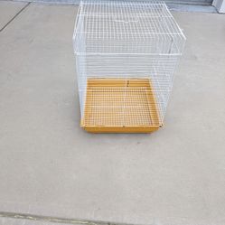 Bird Cage for Sale