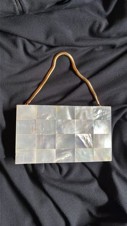 Vintage Evans Mother of Pearl Makeup Clutch Purse