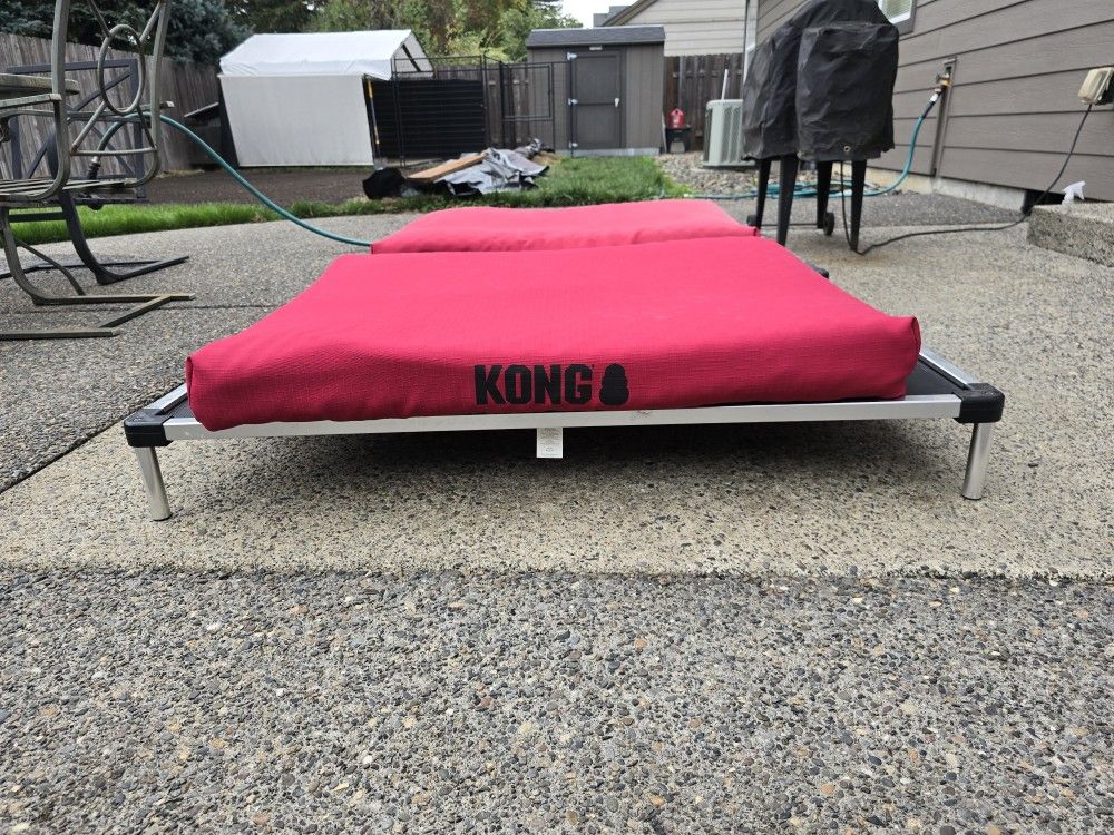 Large Kong Dog Beds