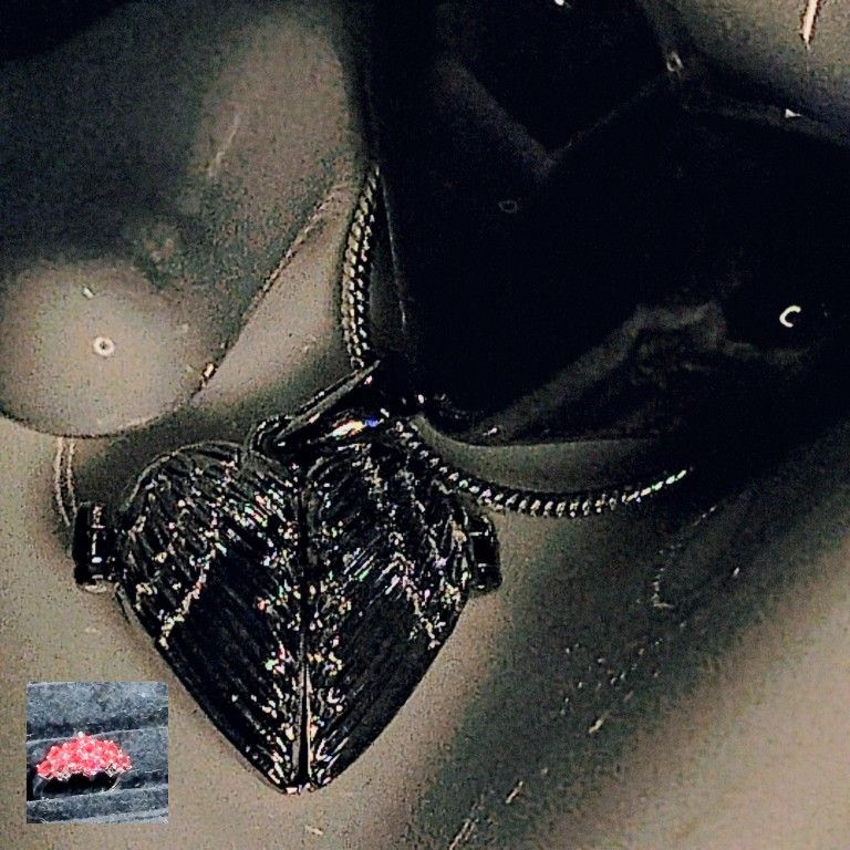 CHECK OUT THIS MEANINGFUL,*MESSAGE* WITHIN A STERLING *LOCKET* PENDANT. 18" STERLING CHAIN.