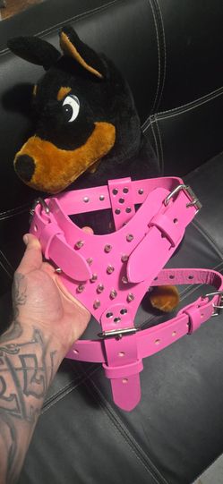 Dog harness