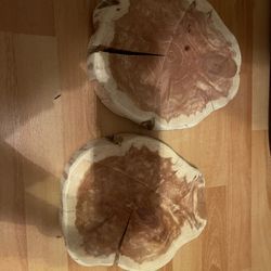 Wooden Tree Slices