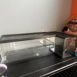 Two Tanks 