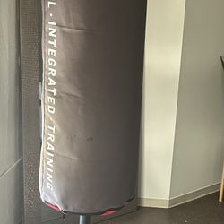 Everlast Punching Bag 