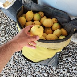 80 pound bag of Limon