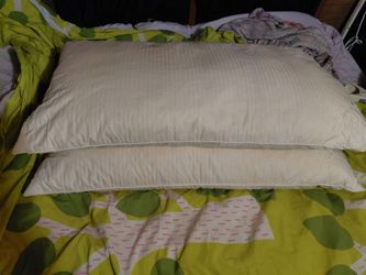 Hästens Eco-medium deluxe pillows 50x90 cm (2)
