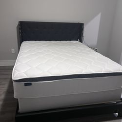 Like New Queen Bed w/ like new Mattress and Box spring