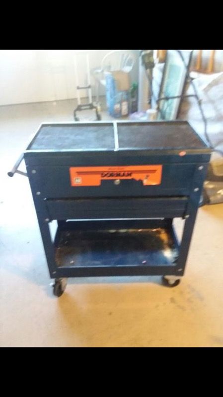 Companion rolling tool cart