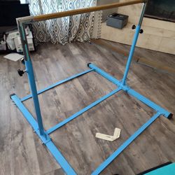 Gymnastic Bar With Mat 