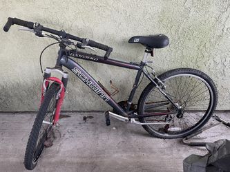 Schwinn Bike