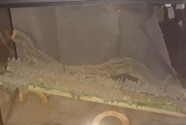 Reptile Cage