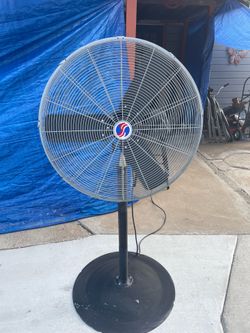 Fan