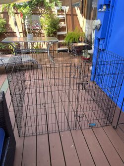 DOGS CREATE/ Playground. $75