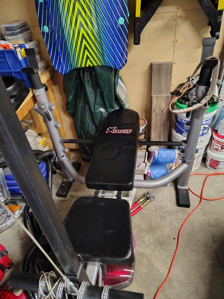 Weight Bench 