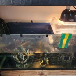 90 Gallon Aquarium, Filter, Decor, and Turtle 🐢 