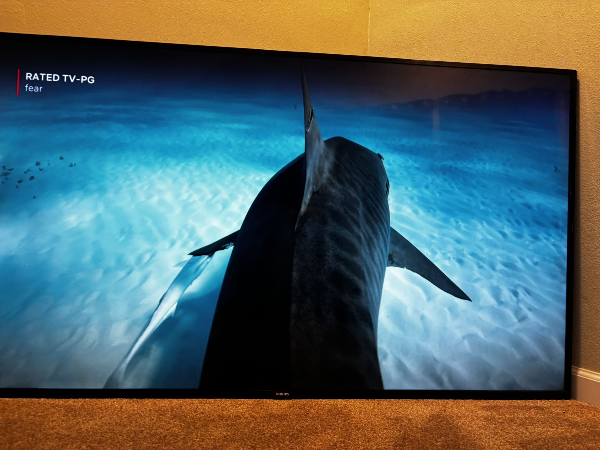 72” Phillips Flat Screen
