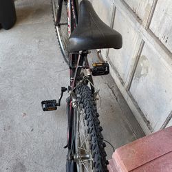 Equator magna 18 speed bike sale