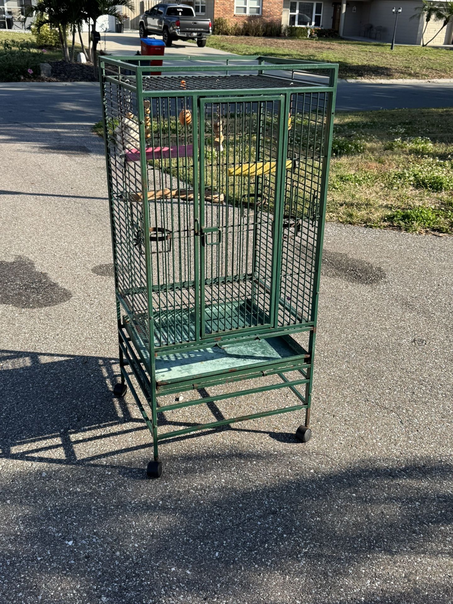 Large bird cage