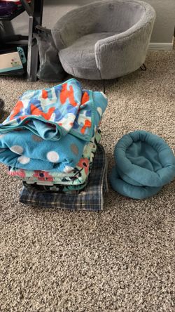 Guinea pig blankets and beds