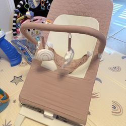 Baby Delight Bouncer