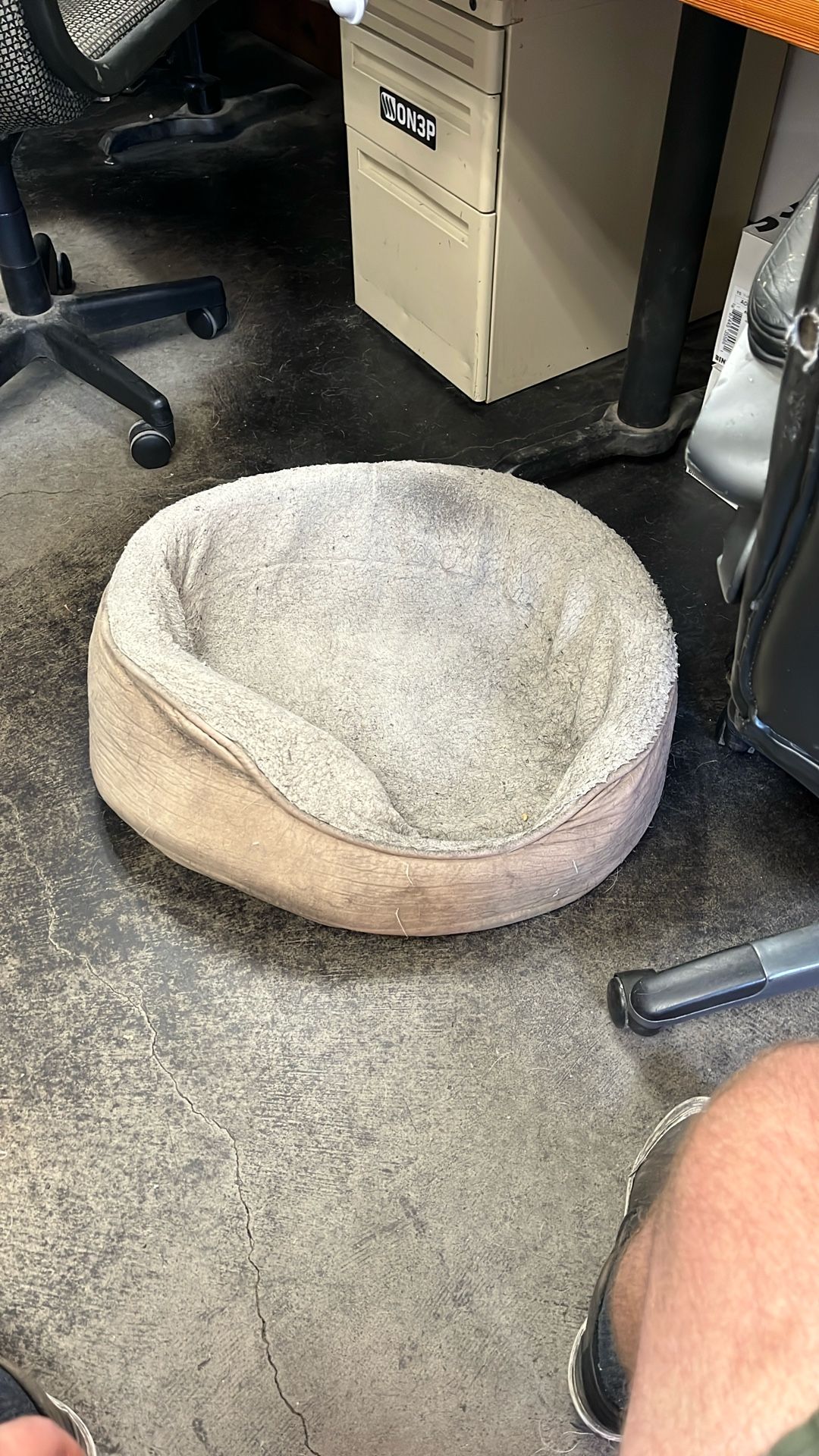 28” Dog Bed FREE