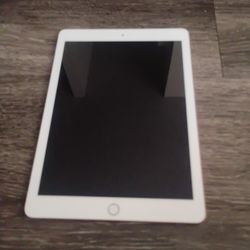 iPad 