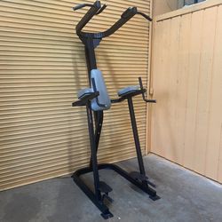 Promaxima Commercial Gym Pull Up, Dip, Knee Raise & Push Up Combo