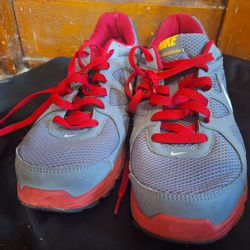Nike Mens Revolution 2 Gray/Red Running Shoes