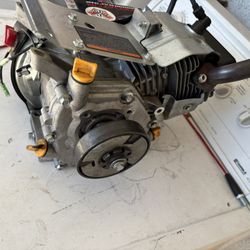 Mini Bike engine
