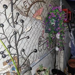 Big Plant Yard Sale All Weekend 