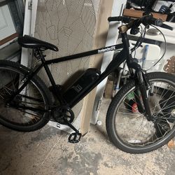 AVALANCHE AE-10 Electric Bike