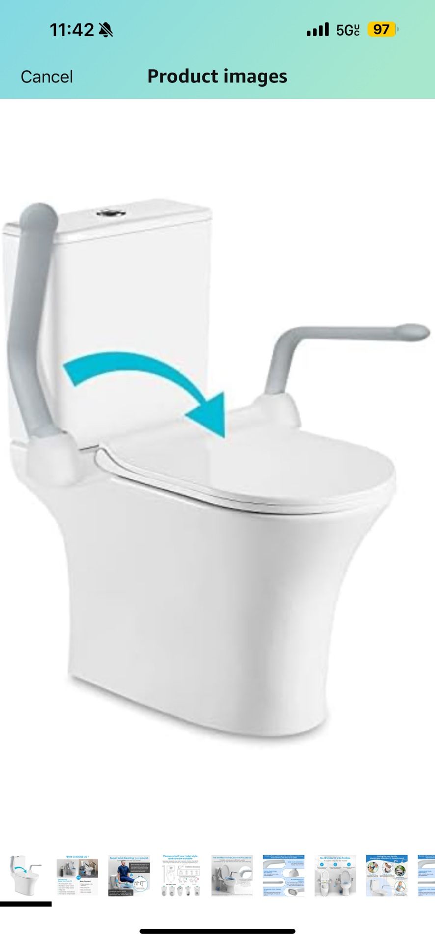 Toilet Safety Rails