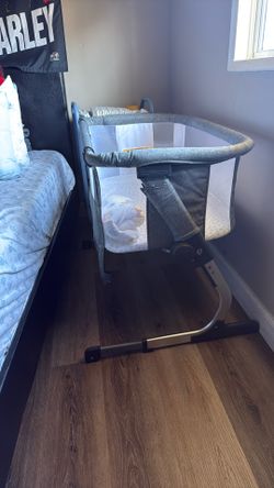 Bassinet Baby Delight