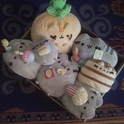 Litter Of Pusheen Kitties. 