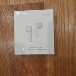 Tranya F1.  Bluetooth Wireless Earbuds 