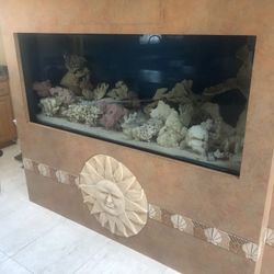 Fish tank 225 gallons plus coral