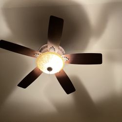 Ceiling Fan