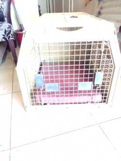 Nylabone cage 2025