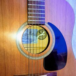 Seagull acoustic