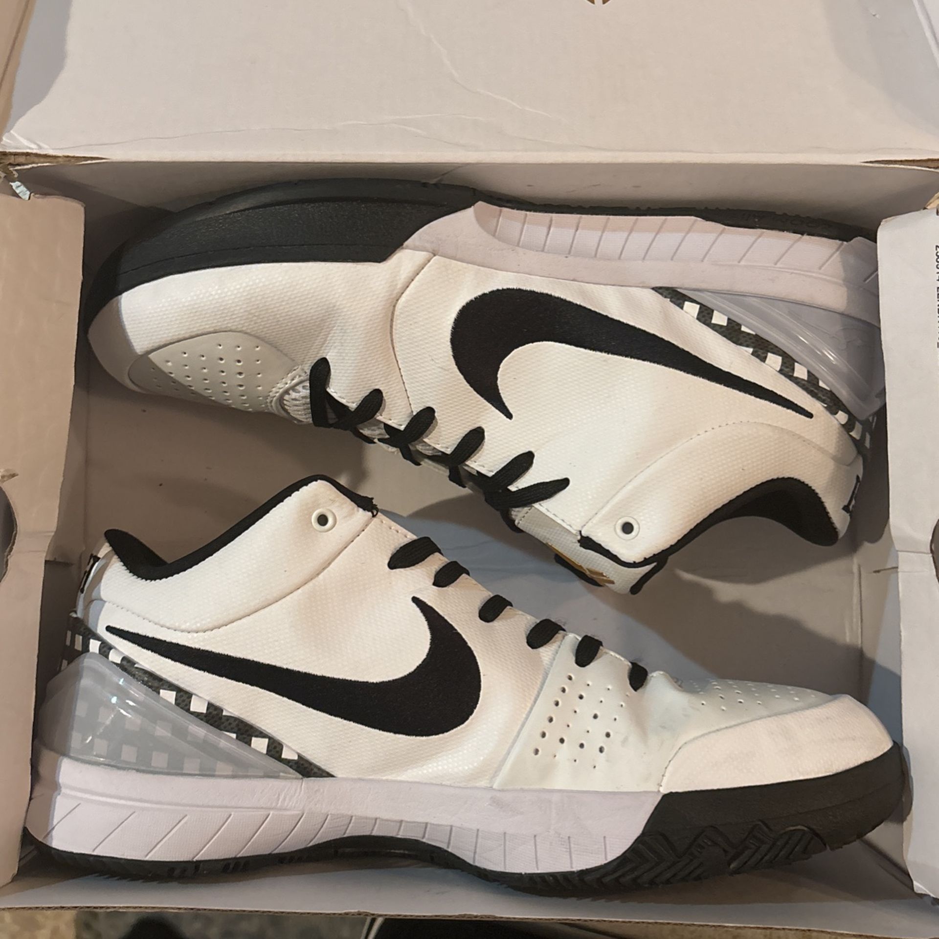 Nike Kobe protro mambacita