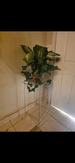Planta con vase