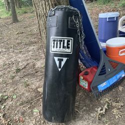 65 Lb Boxing Title Bag 