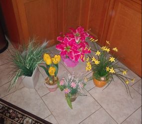 Artificial Plants$7-$10 each