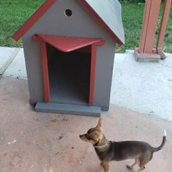 Dog house