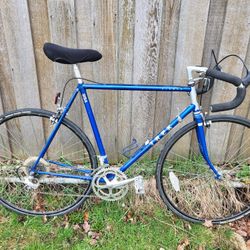 TREK Elance 400 Reynolds 531 USA Made Sport Tour Road Bike 12 Speed City Bicycle 