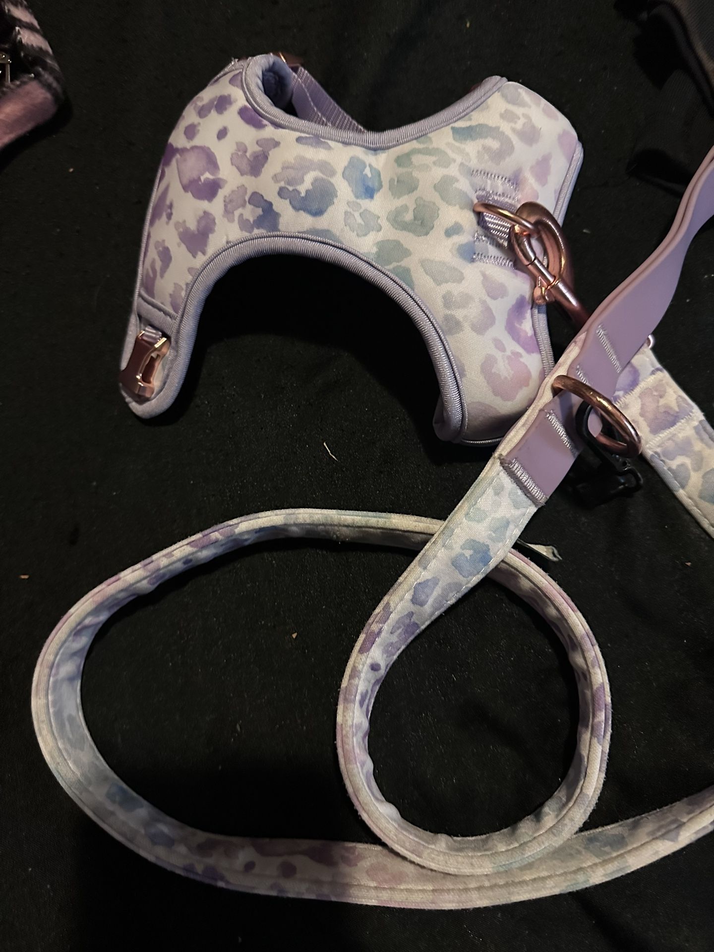 Top Paw Leash And Harness