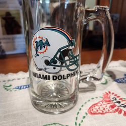 Miami Dolphins Glass Mug
