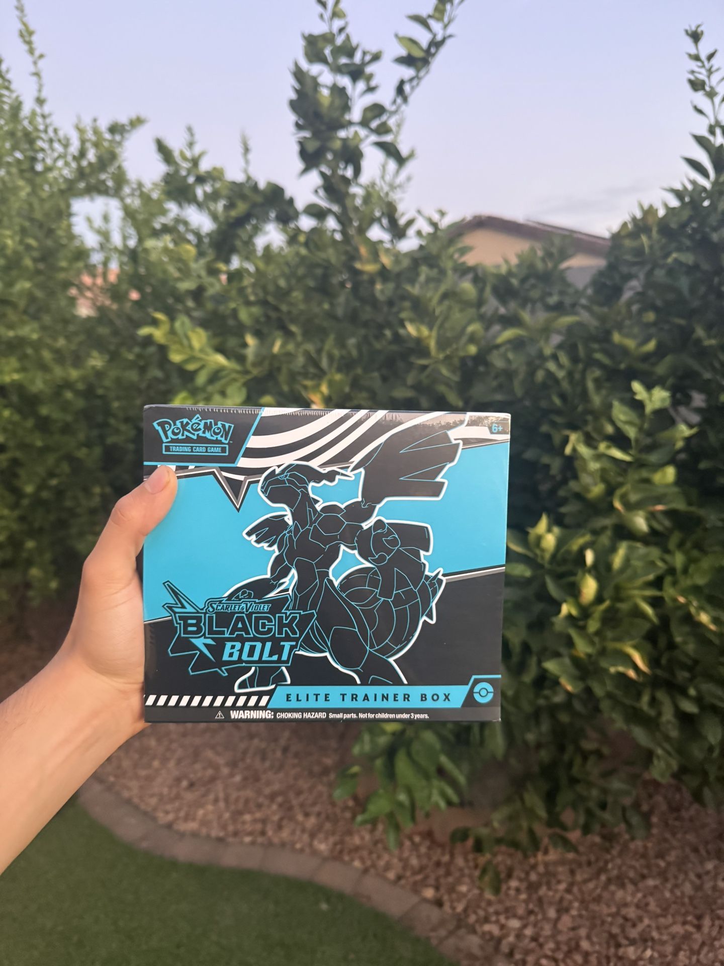 Black Bolt Elite Trainer Box Pokemon