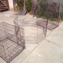 2 - XL Collapsible Dog Cages And Puppy Pin